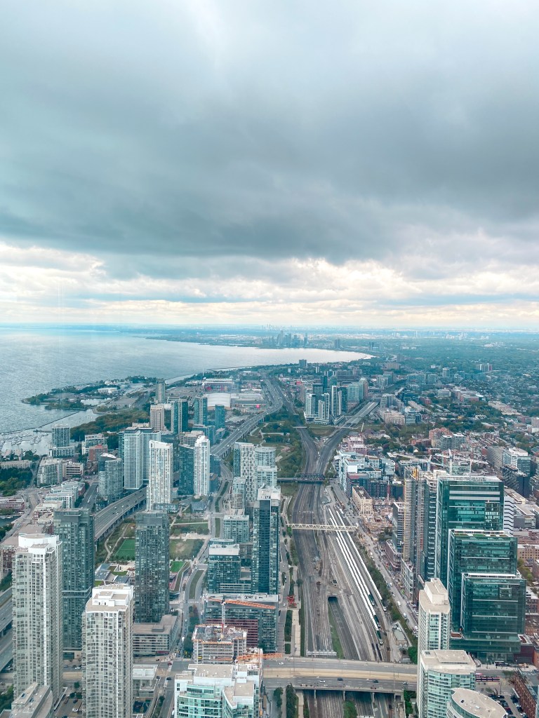 View from top of CN Tower